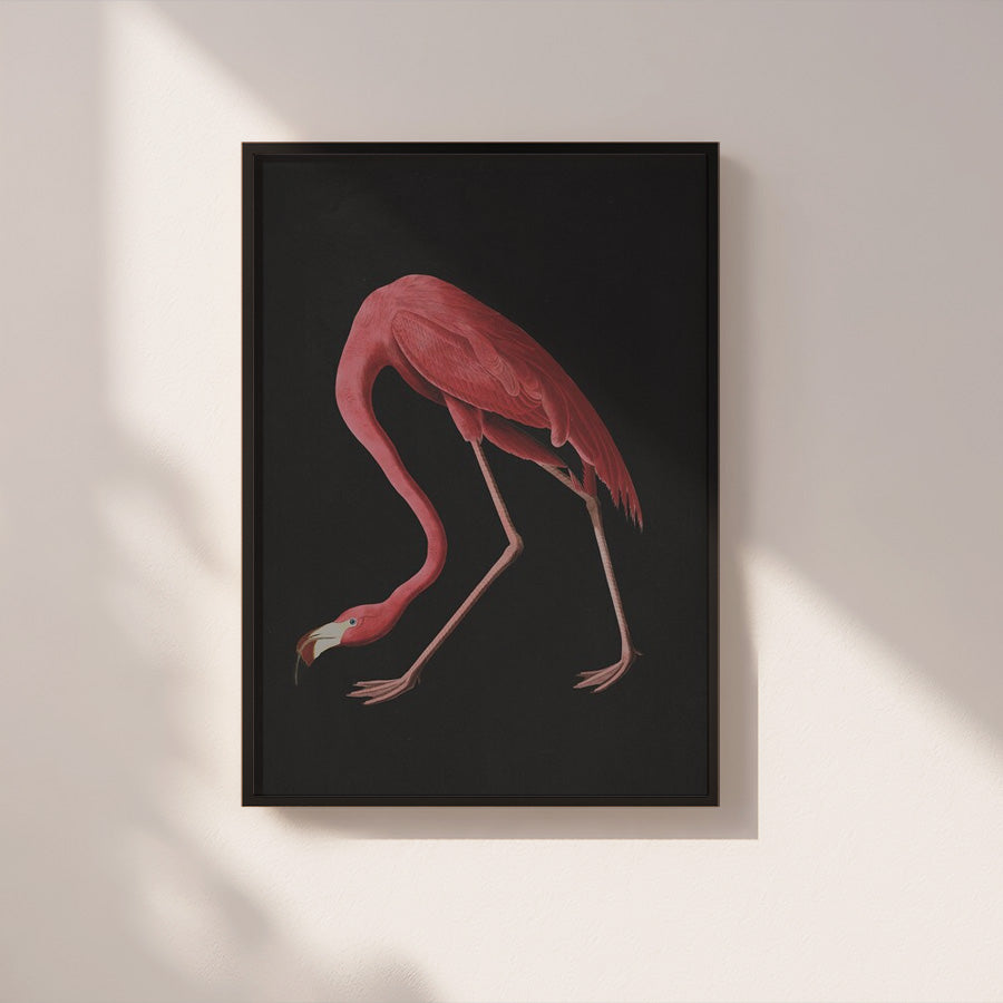 Study in form / bleak