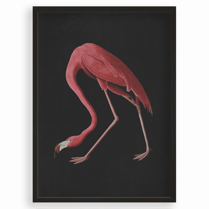 Study in form / bleak