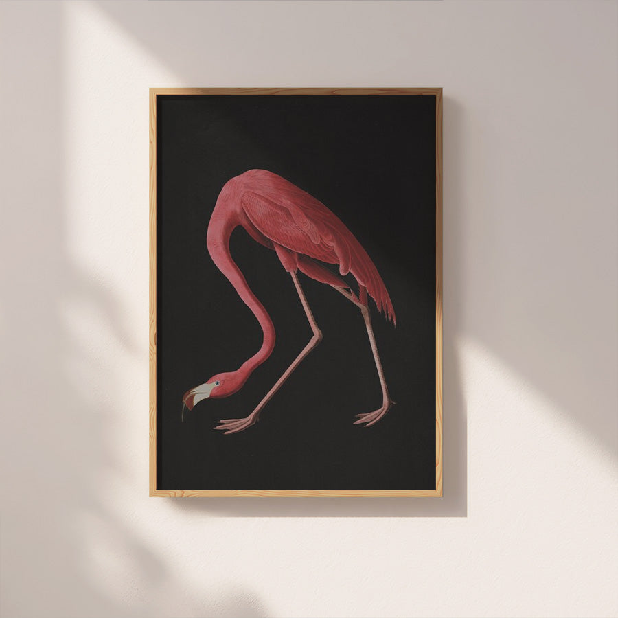 Study in form / bleak