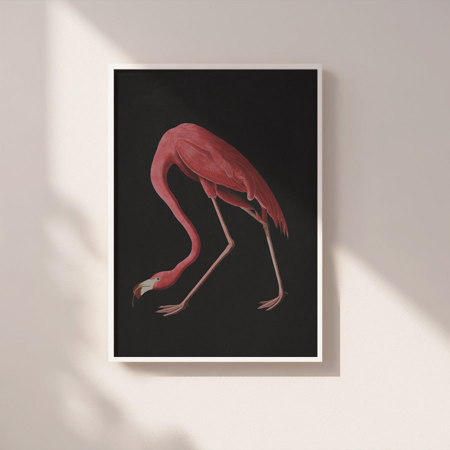 Study in form / bleak